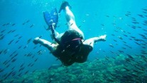 Cat SOTERION -  Diving in the Caribbean